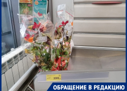 Моргами для цветов назвали "Магниты" в Волгограде