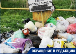 Стоянки с мусором оккупировали дорогу к городу Котельниково Волгоградской области