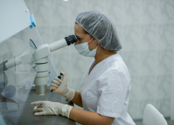 Процедура ЭКО в Волгоградской области становится популярнее 