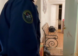 Желание расчленить друга закончилась бегством для убийцы из Волгограда