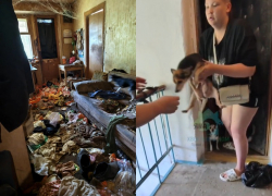Квартиру-помойку умершего волгоградца показали волонтеры: здесь сидели запертыми 7 собак