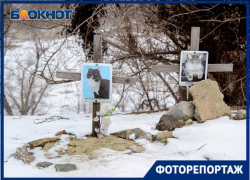 Кладбище домашних животных в объективе волгоградского фотографа