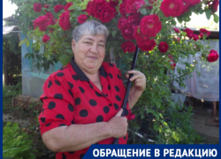 Заразилась во время лечения от инфаркта: жительнице Волгоградской области с 80% поражения легких срочно требуется плазма крови