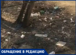 "Сами намусорили, а нам убирать?" - коммунальщики отказались разгребать ковер из мусора в Волгограде