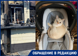 Дом сгорел вместе с котом: муж с женой остались на улице после пожара в Волгограде