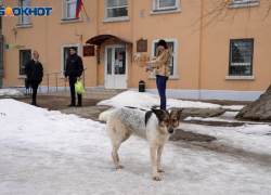 В понедельник в Волгограде «заминировали» все суды