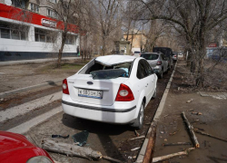 Дерево рухнуло на припаркованную иномарку в Волгограде