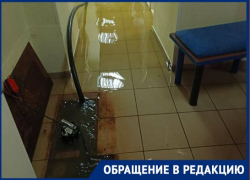 Фитнес-клуб затопило фекалиями в центре Волгограда