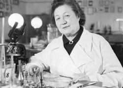 Сквер в Дзержинском районе Волгограда получит имя создательницы первого советского пенициллина