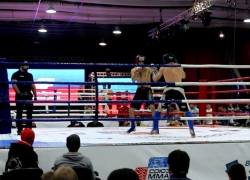 В Волгограде пройдет финал кубка России по ММА с Федором Емельяненко