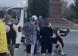 На водителя маршрутки напали пассажиры под Волгоградом