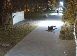 Сломали саженцы и систему полива: двое молодчиков разгромили сквер под Волгоградом 