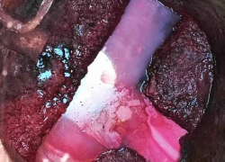 Сбрасывающей красные стоки организации перекрыли доступ к канализации в Волгограде