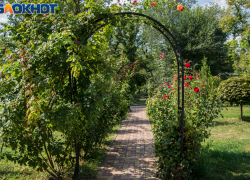 На корпоративе в парке Волгограда мужчина бутылкой раскроил череп коллеге