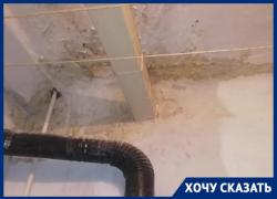 Полгода соседка топит семью пенсионеров в Волгограде