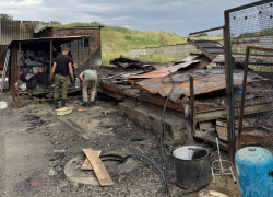 Еще пять погибших кошек нашли на пепелище приюта в Волгограде