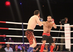 Федор Емельяненко вышел на ринг на Кубке России по ММА в Волгограде