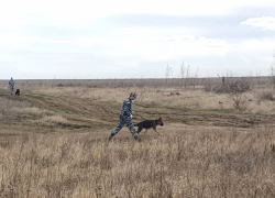 13-летнюю школьницу спустя неделю нашли под Волгоградом