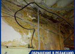 «Вода капает на счетчики, стены в плесени», - жильцы общежития в Волгограде в преддверии Нового года