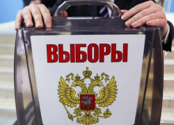 В Волгоградской области насчитали больше 2000 желающих стать депутатами