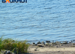 Труп выловили из Волги на юге Волгограда