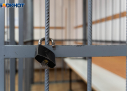 Стали известны подробности жестокого убийства волгоградки собственным сыном