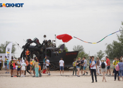 На участника фестиваля Ultra 100 под Волгоградом напал волк