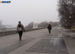 Погода шепчет: Волгоград прогреется 3 апреля до 19 градусов тепла