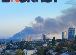 20 га полыхает на виду Волгограда в пойме