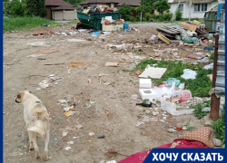 «Живем как на мусорном полигоне»: каким мэр Лихачёв сдает Волгоград