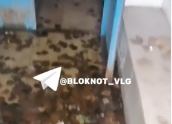 Извержение кипятка в МКД Волгограда сняли на видео 