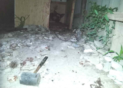 В Волгоградской области женщина избила вилами и молотком домашнюю овчарку