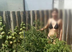 Волгоградка призналась в продаже видео изнасилований сына