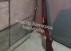 У подъезда жилого дома в Волгограде обнаружили редкое охотничье ружье