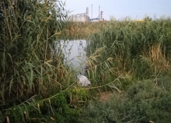 Ушел кататься на велосипеде: под Волгоградом найдено тело 11-летнего мальчика