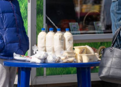Россельхознадзор уличил ИП Караваев в нарушении безопасности молочной продукции