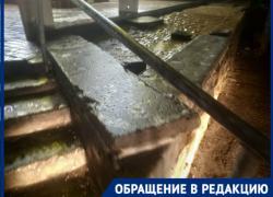 Волгоградка прокляла коммунальщиков за адски скользкое утро