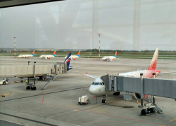 Волгоградец с приятелем устроил дебош на борту самолета