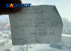 "Ого, были времена": волгоградка откопала билет за проезд из 2017-го и удивилась цене