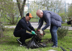 Волгоградские депутаты устроили показную охоту за листвой в главном парке города