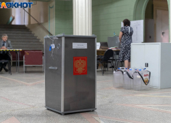 Независимый кандидат победила на выборах в Волгоградской области