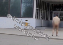 Похождения голого мужчины у караоке попали на видео под Волгоградом