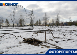 Волгоградский фотограф показал, в каком состоянии парк, переданный в руки концессионера
