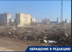 "Трупы гниющих собак лежат сверху": волгоградцы показали свалку в Жилгородке