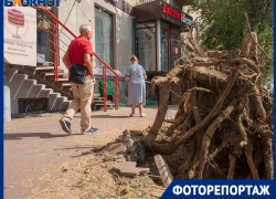 Апокалипсис в центре Волгограда устроили ради создания образцовой улицы