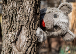 Насильник 10-летнего мальчика и 12-летней девочки не признал свою вину в суде в Волгоградской области