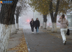 Средняя зарплата в Волгоградской области снизилась до 56,8 тысяч