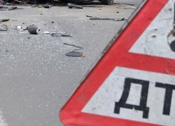 ВАЗ-21104 влетел в лошадь под Волгоградом: погиб пассажир