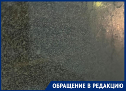 "Ничего не видно": на поездки вслепую в автобусах пожаловались волгоградцы 