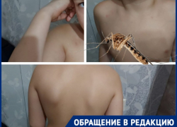 Подвальные "вампиры" атаковали ребенка в Волгограде